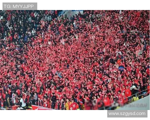 球迷圆梦之旅足球梦想实现记见球星辉煌时刻